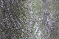 Jagger Green fibreglass roof work