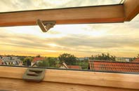 rated Jagger Green roof window companies